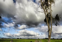 [NBA]常规赛3月4日：火箭VS雷霆 集锦.