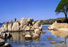 开云体育:土耳其总比分-匈牙利升入A级,居莱尔、恰尔汗奥卢建功.